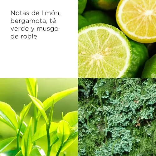 Elizabeth Arden ▫️ Green Tea Loção Corporal Refrescante 500 ml 5