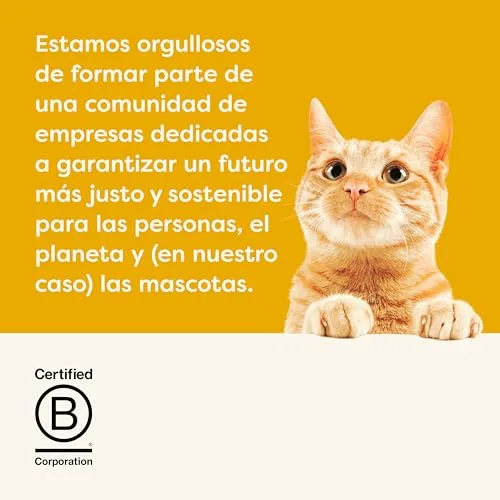Applaws ▫️ Ração Seca Natural sem Cereais para Gatos Adultos, Sabor a Frango - Saco com fecho reutilizável de 2 kg () 6