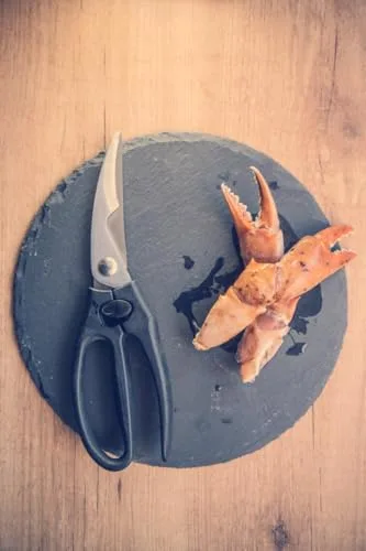 Arcos ▫️ Tesouras de cozinha em forma de arco para frango - Lâmina em aço inoxidável de 240 mm - Cabo ergonómico em polipropileno e elastómero - Série Ecopro 6