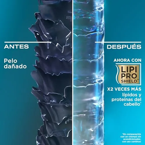 OGX ▫️ Renewing + Argan Oil of Morocco Shampoo (385 ml), champô reparador com óleo de argão de Marrocos, champô para cabelo seco, com tensioativos sem sulfatos 4