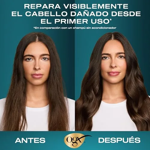 OGX ▫️ Renewing + Argan Oil of Morocco Shampoo (385 ml), champô reparador com óleo de argão de Marrocos, champô para cabelo seco, com tensioativos sem sulfatos 5