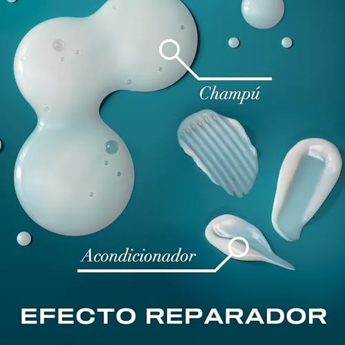 OGX ▫️ Renewing + Argan Oil of Morocco Shampoo (385 ml), champô reparador com óleo de argão de Marrocos, champô para cabelo seco, com tensioativos sem sulfatos 6