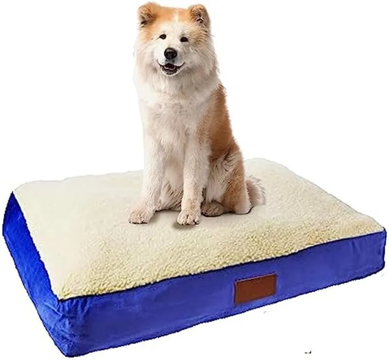 Ellie-Bo ▫️ Cama ortopédica para cães de tamanho médio, 71 x 48 x 6 cm, em espuma viscoelástica com capa em couro sintético e pele de ovelha sintética nas cores azul e branco, para gaiolas e caixas de 76 cm