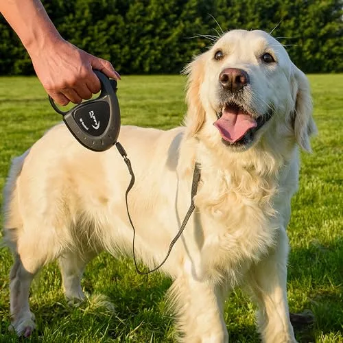 Ferplast ▫️ Trela Extensível para Cães Flippy Tech, Trela para cães de tamanho médio até 25 kg. Fita extensível até 3 m. Botão único de bloqueio e libertação, roxo 3