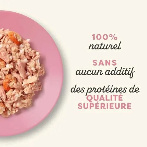 Applaws ▫️ Comida húmida natural para gatos em potes, Filete de atum com camarões em caldo, 10 x 60 g 3