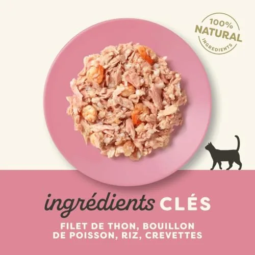Applaws ▫️ Comida húmida natural para gatos em potes, Filete de atum com camarões em caldo, 10 x 60 g 4