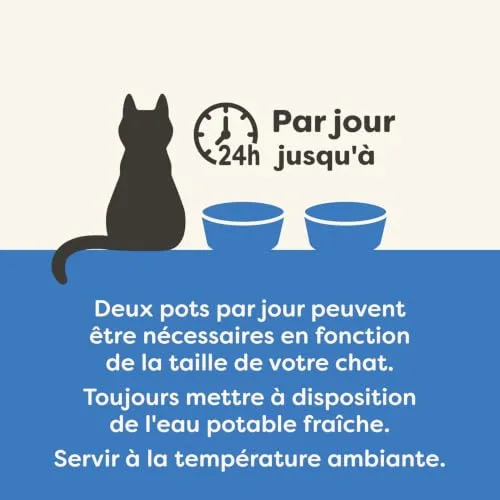 Applaws ▫️ Comida húmida natural para gatos em potes, Filete de atum com camarões em caldo, 10 x 60 g 5
