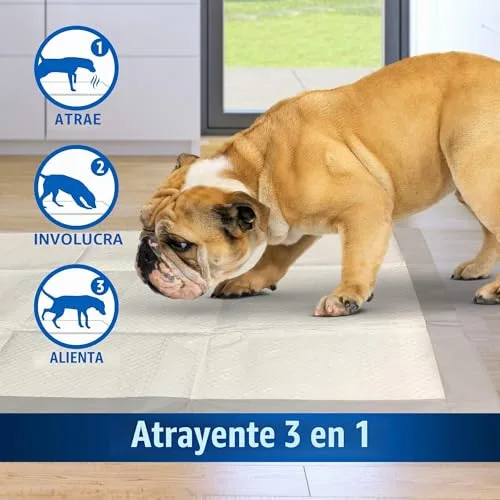 OUT! ▫️ PetCare out IR aqui Almofadas de treino para cães (pacote de 100) 3