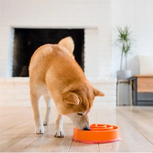 Outward Hound ▫️ Fun Feeder Slo-Bowl - Comedouro com obstáculos para cães - Laranja - Médio/Mini 6