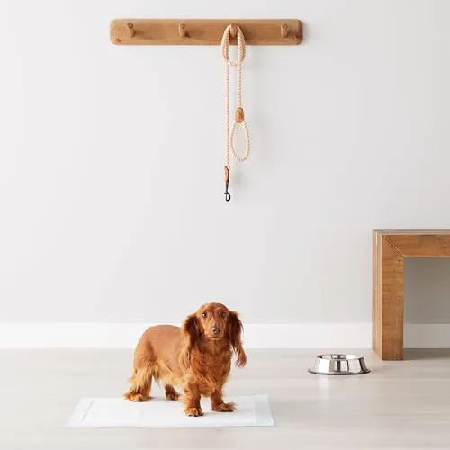 Amazon Basics ▫️ Tapetes de treino para cães e cachorros, design de 5 camadas à prova de fugas com superfície de secagem rápida, tamanho normal, 100 unidades, azul 6