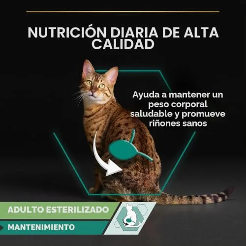 Pro Plan ▫️ Ração húmida para gatos Cat Wet NutriSavour Delicado 850 g (Embalagem de 4, total de 40 saquetas) 5