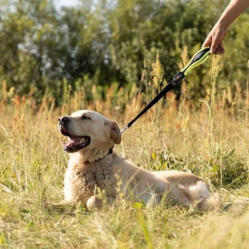 Ferplast ▫️ Trela Curta para Cães ERGOFLUO, para cães de grande porte, alça ergonómica almofadada, nylon, dimensões: 55 cm x 2,5 cm, rosa 2