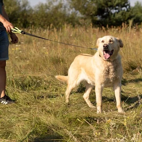 Ferplast ▫️ Trela para Cão ERGOFLUO, Trela para Cão de Grande Tamanho, Pega ergonómica almofadada, Nylon. Tamanho 120 cm, Amarelo 2