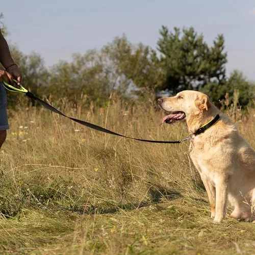 Ferplast ▫️ Trela para Cão ERGOFLUO, Trela para Cão de Grande Tamanho, Pega ergonómica almofadada, Nylon. Tamanho 120 cm, Amarelo 3