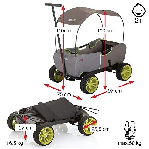 hauck ▫️ Carro de mão Eco Mobil, adequado para 2 crianças, carrinho de transporte dobrável, sistema anti-capotamento, capota, carrinho infantil, assento almofadado, travão, carrinho dobrável, carga máxima de 50 kg, Forrest Grayge 3