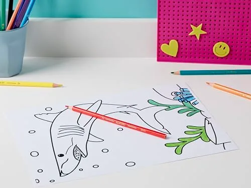 Alpino ▫️ Lápis de cor 24 unidades | Lápis de cor para crianças | Desenha e pinta com cores vivas e brilhantes | Material escolar | Estojo para lápis de cor 2