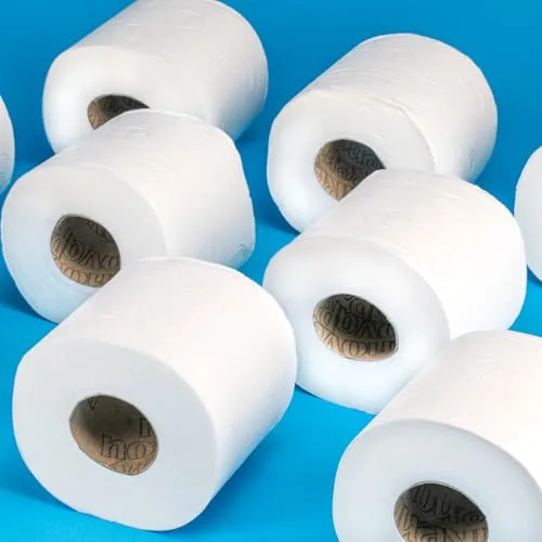 RENOVA ▫️ Papel Higiénico Super Duplo, 18=36 rolos, 2 camadas, Extra-suave 3
