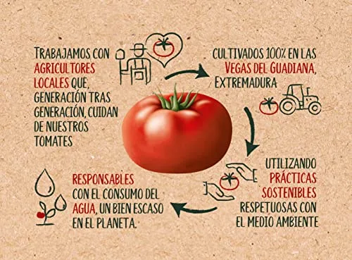 Solís ▫️ Molho de Tomate ao Estilo Caseiro em Embalagem Brick - Sem Glúten - 350 g 7