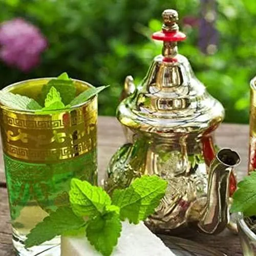 Tés del Mundo ▫️ Ship - Chá Moruno com Hortelã - Caixa de 15 pirâmides com embalagem - Favorece uma boa digestão e melhora o funcionamento do organismo - Propriedades antioxidantes 5