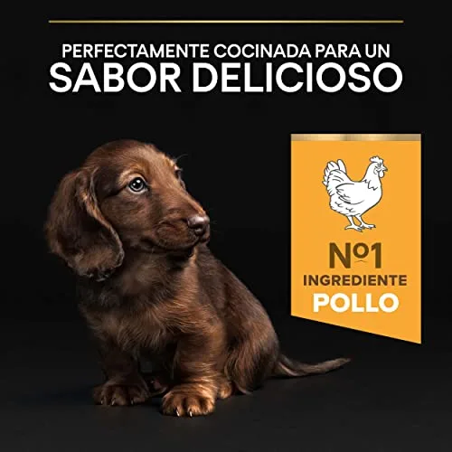 Pro Plan ▫️ Small&Mini Puppy Start – ração para cachorros com colostro, 8x700 g 3