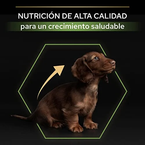 Pro Plan ▫️ Small&Mini Puppy Start – ração para cachorros com colostro, 8x700 g 4