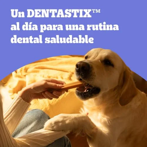 Pedigree ▫️ DENTASTIX - Snacks dentais para consumo diário para cães de grande porte, 10 x 7 snacks com frango 3