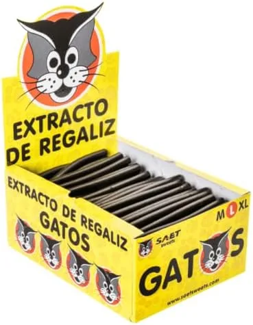 Gatos ▫️ Alcaçuz L