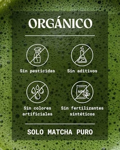 NaturaleBio ▫️ Matcha Cerimonial em Pó Biológico de Uji, Japão, Umami 2