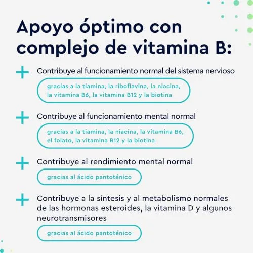 Gloryfeel ▫️ Complexo de Vitaminas B - Alta dosagem com B1, B2, B3, B5, B6, B12 - Com biotina (B7) e ácido fólico (B9) - Energia e vitalidade - As 7 vitaminas B num único comprimido - Vegano, testado em laboratório 3