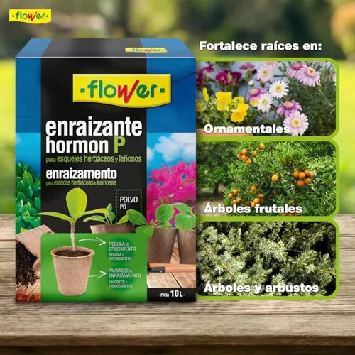 Flower ▫️ Hormona de enraizamento sólida P 50 g | Pó de enraizamento para estacas e transplantes | Com aminoácidos e vitaminas | Estimula o crescimento das raízes | Plantas ornamentais, árvores e árvores de fruto 4