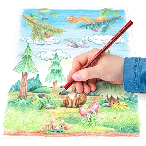 STAEDTLER ▫️ Noris 187 CA-1. Lápis ecológicos. Caixa com 25 estojos de lápis de cor. 6