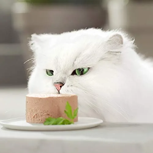 Gourmet ▫️ Gold Mousse, Comida húmida para gatos adultos, Mousse de peixe do oceano, Embalagem com 24 latas de 85 g 5