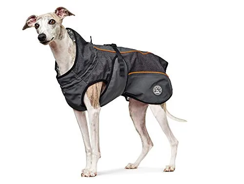 HUNTER ▫️ Casaco para cão Uppsala Thermo 40 Antracite, M 4