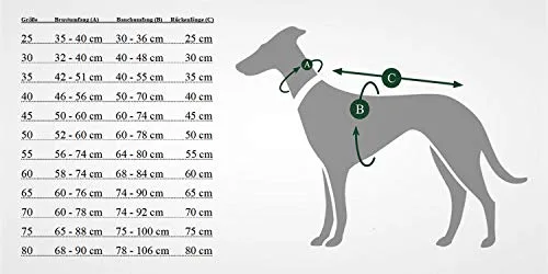 HUNTER ▫️ Casaco para cão Uppsala Thermo 40 Antracite, M 5