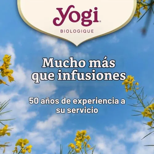Yogi ▫️ Tea TP-4012824404229_1188-053 Tea Natal 17 Infusões 6