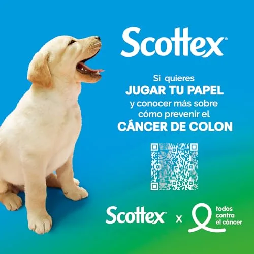 Scottex ▫️ Papel higiénico Original, 96 rolos, 6 embalagens de 16 rolos de duas camadas que proporcionam o equilíbrio ideal entre suavidade e resistência 6