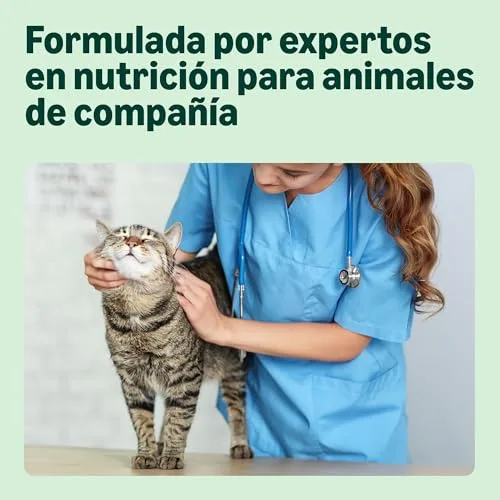 by Amazon ▫️ da Amazon - Ração seca para gatos adultos com frango fresco, receita sem cereais, 3 kg (embalagem de 1) (anteriormente da marca Lifelong, o mesmo produto) 3