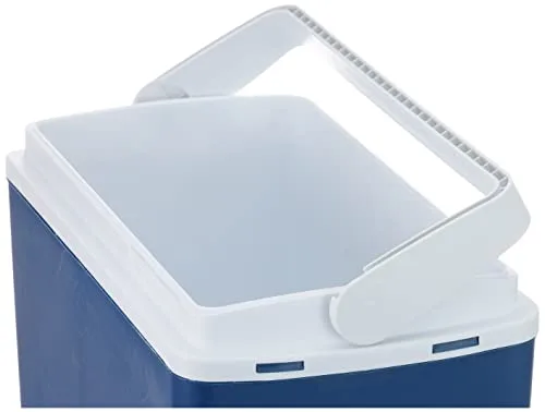 Mobicool ▫️ Mirabelle MM24 DC, frigorífico elétrico de 21 L – 12 V para automóveis e camiões – Frigorífico termoelétrico compacto para colocar atrás do banco – Arrefece até 15 °C abaixo da temperatura ambiente 4