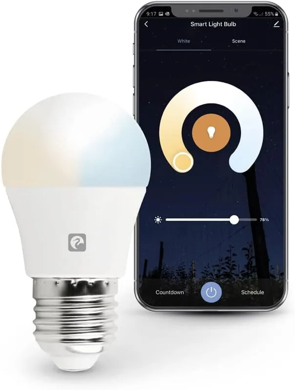 Garza ▫️ Smarthome-WiFi CCT 5.5w Spherical E27 LED Bulb Inteligente e Programável, Mudança de Dim e Hue, Controlo por Voz e App, Alexa, iOS, Google, Android, 5.5 W, Branco