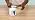 CeraVe ▫️ Hidra Dosi Creme 454 g 7