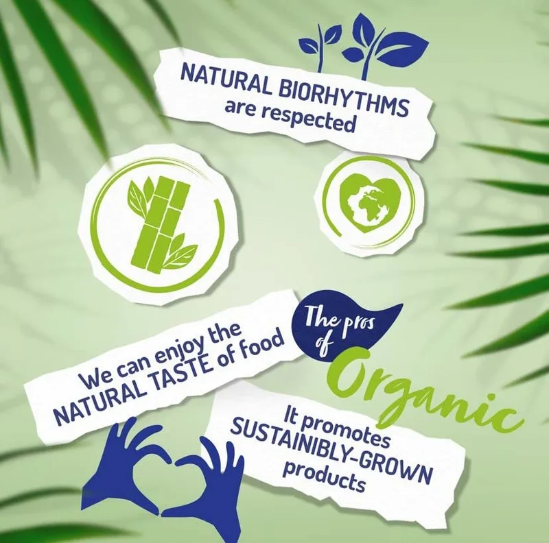 Isola Bio ▫️ Bebida Ecológica Vegetal de Arroz Integral - Embalagem de 6 x 1 L 6