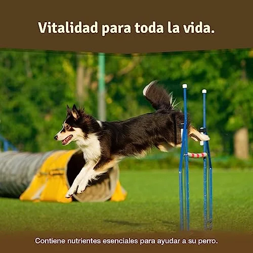 Veddelholzer ▫️ Condroprotetor para Cães com Mexilhão Verde, Colagénio e MSM 4