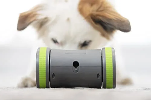 PetSafe ▫️ Kibble Chase - Distribuidor de ração e guloseimas para cães, brinquedo interativo inteligente para cães, funciona com pilhas, resistente 3
