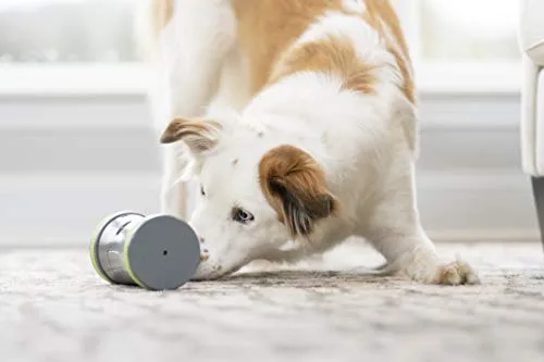 PetSafe ▫️ Kibble Chase - Distribuidor de ração e guloseimas para cães, brinquedo interativo inteligente para cães, funciona com pilhas, resistente 4