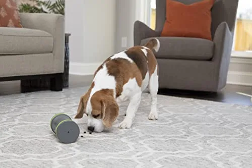 PetSafe ▫️ Kibble Chase - Distribuidor de ração e guloseimas para cães, brinquedo interativo inteligente para cães, funciona com pilhas, resistente 6