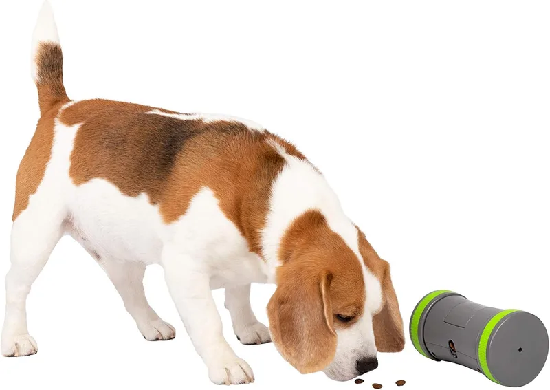 PetSafe ▫️ Kibble Chase - Distribuidor de ração e guloseimas para cães, brinquedo interativo inteligente para cães, funciona com pilhas, resistente