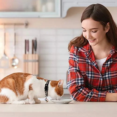 Baeuppit ▫️ 2 coleiras para gatos com luas e sinos, estrelas; coleira ajustável e segura para gatinhos com um pendente que brilha no escuro (preto e roxo) 2