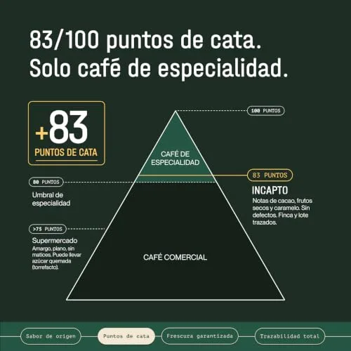 Incapto ▫️ Café em Grão de Especialidade 1 kg | Origem: Brasil | 100% Arábica | Café de Especialidade 84 pontos SCA | Torra Natural e Artesanal | Finca Minas Gerais, Fazendas 5