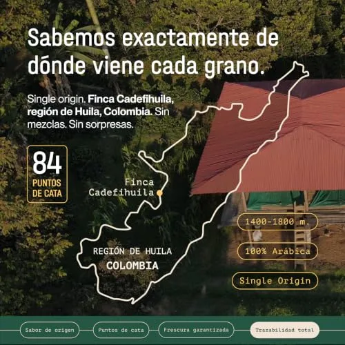 Incapto ▫️ Café em Grão de Especialidade 1 kg | Origem: Colômbia | 100% Arábica | Café de Especialidade 84 pontos SCA | Torra Natural e Artesanal | Finca Huila, Cadefihuila 6