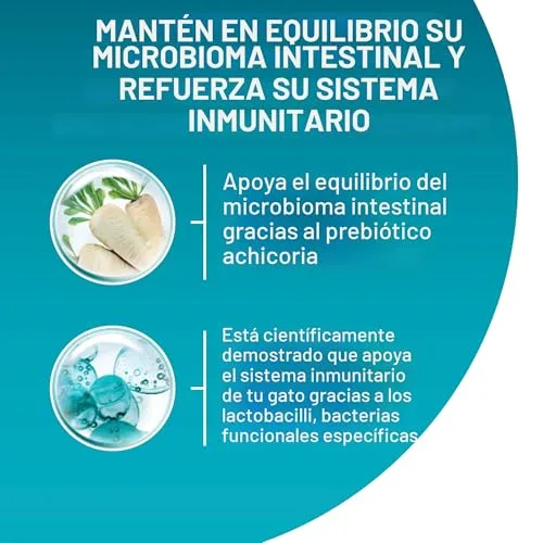 PURINA ONE ▫️ Gato bifensis Especial para gatos esterilizados, com carne de vaca e trigo, ração para gatos adultos, 9,7 kg 3